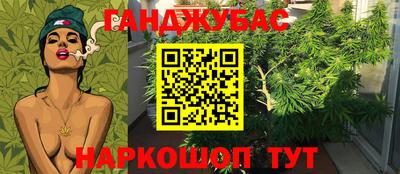 ПСИЛОЦИБИНОВЫЕ ГРИБЫ Гусиноозёрск