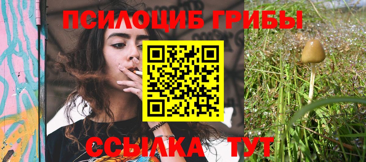 Псилоцибиновые грибы GOLDEN TEACHER Михайловск